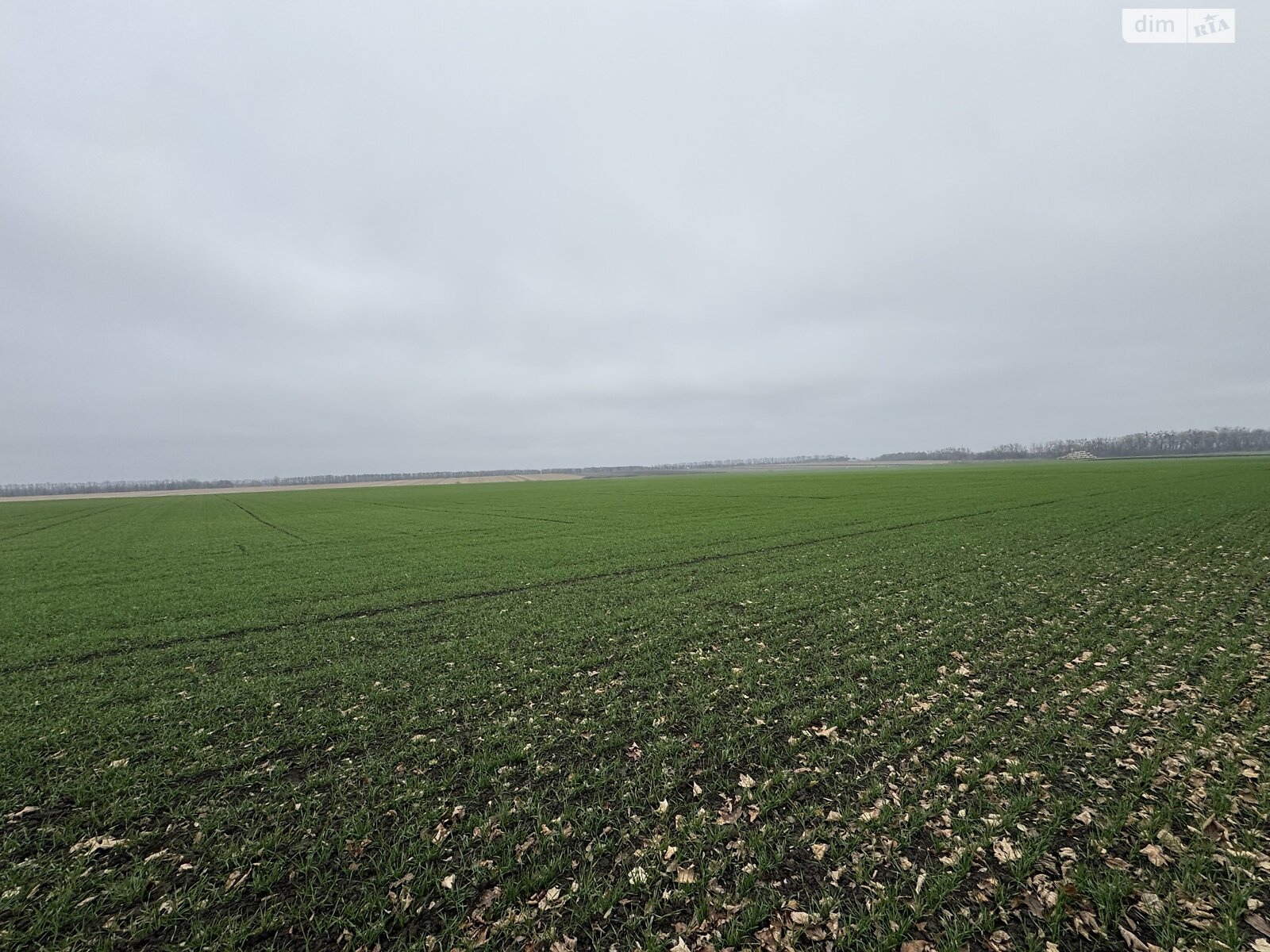 Земля під житлову забудову в Вінниці, район Тяжилів, площа 5 соток фото 1