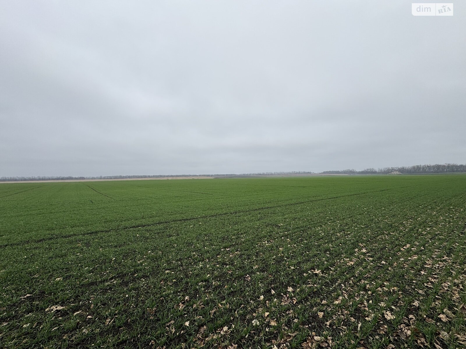 Земля під житлову забудову в Вінниці, район Тяжилів, площа 5 соток фото 1