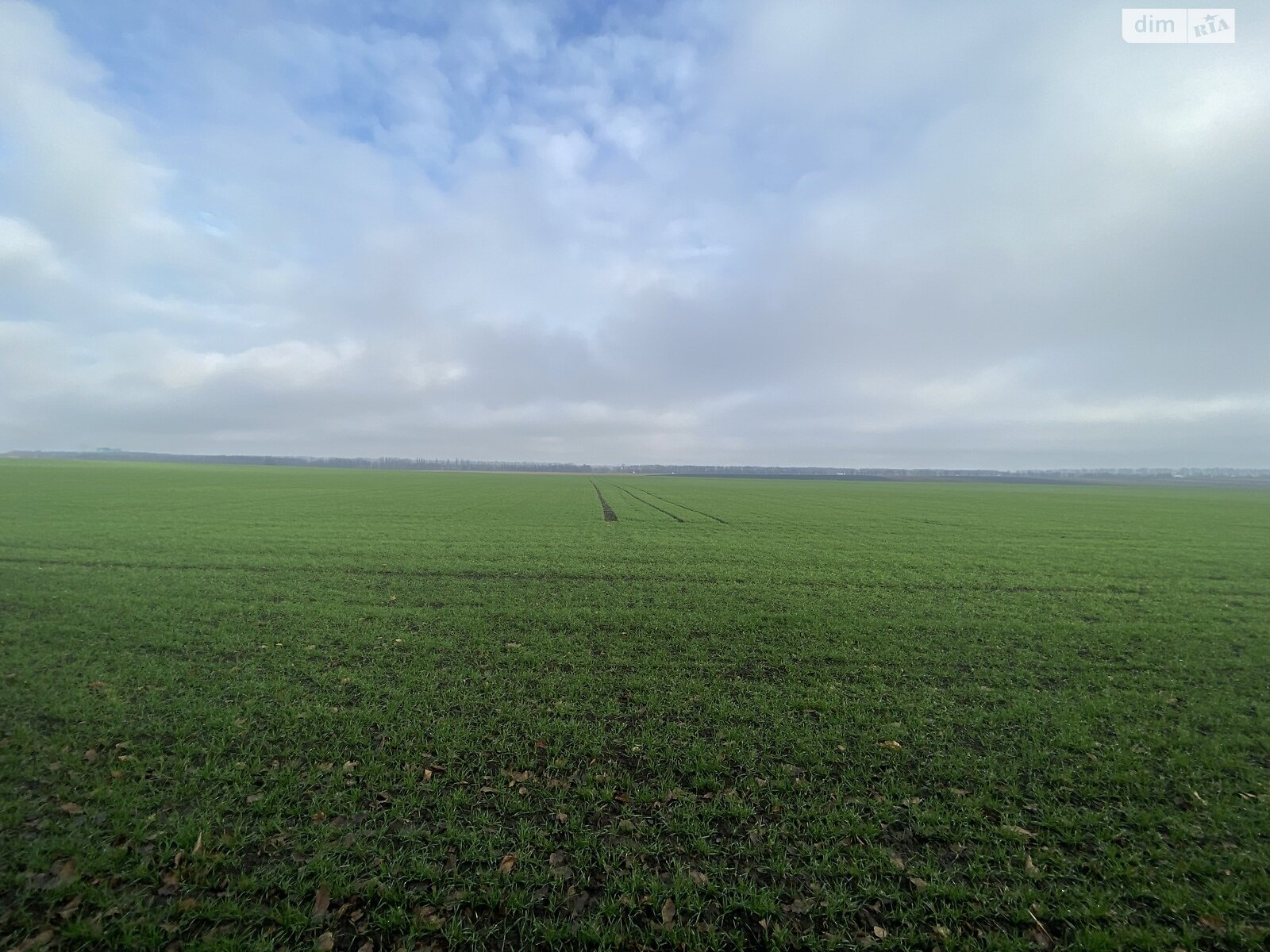 Земля под жилую застройку в Виннице, район Тяжилов, площадь 5 соток фото 1