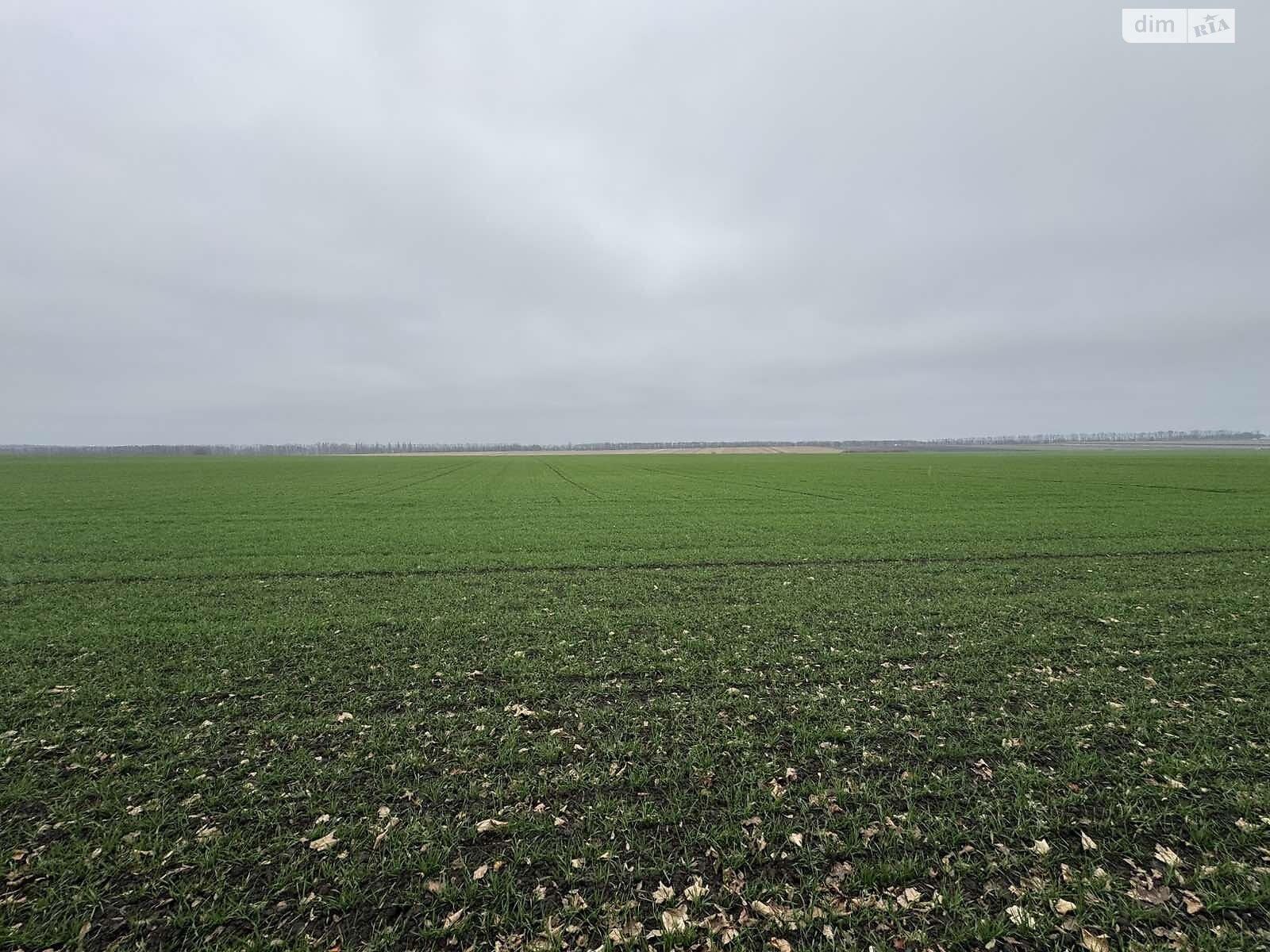 Земля под жилую застройку в Виннице, район Тяжилов, площадь 5 соток фото 1 Земля под жилую застройку в Виннице, район Тяжилов, площадь 5 соток фото 1