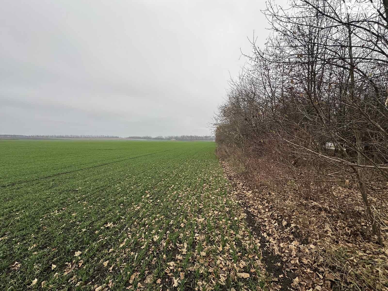 Земля под жилую застройку в Виннице, район Тяжилов, площадь 5 соток фото 1 Земля под жилую застройку в Виннице, район Тяжилов, площадь 5 соток фото 1