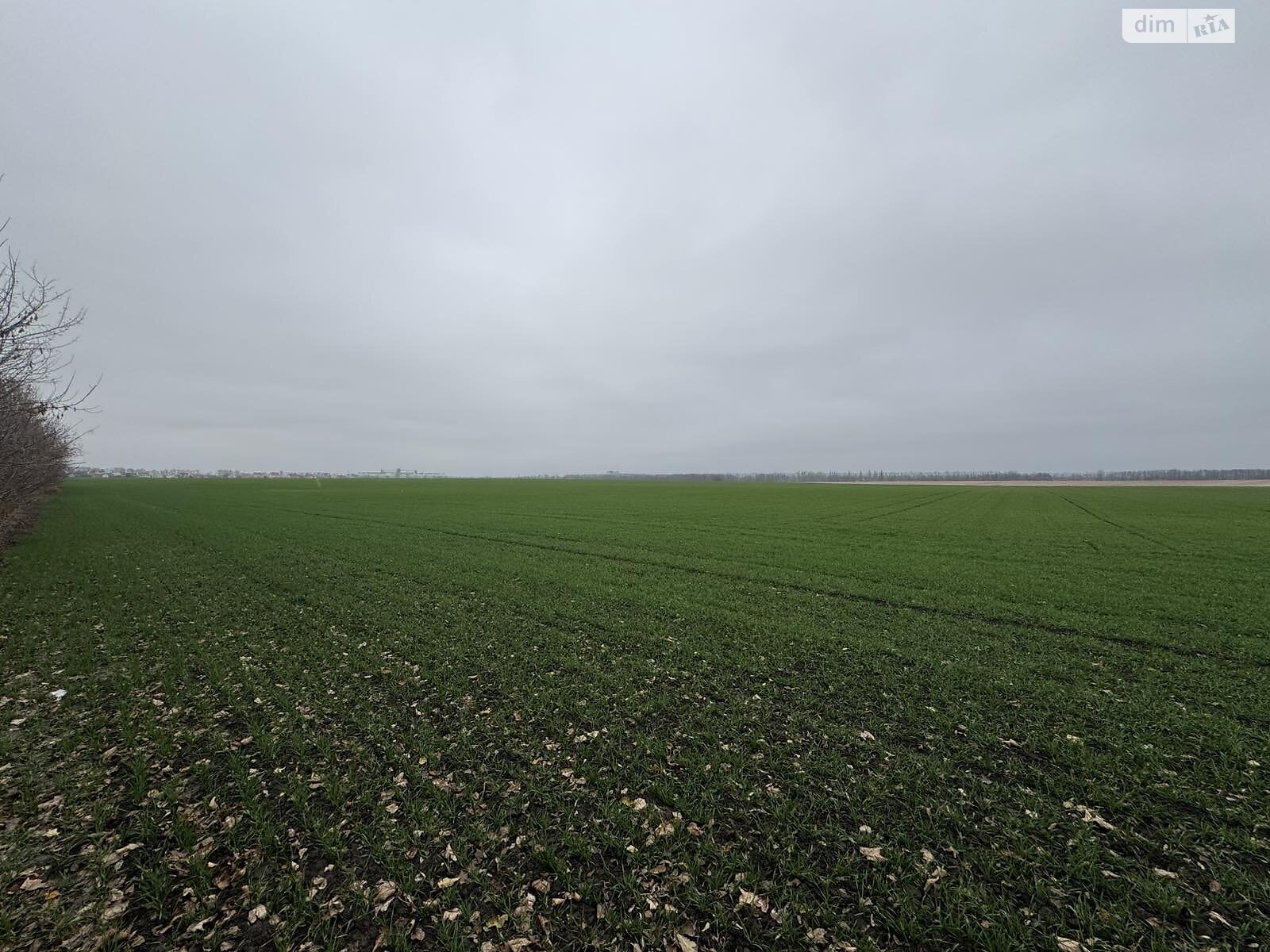 Земля под жилую застройку в Виннице, район Тяжилов, площадь 5 соток фото 1 Земля под жилую застройку в Виннице, район Тяжилов, площадь 5 соток фото 1