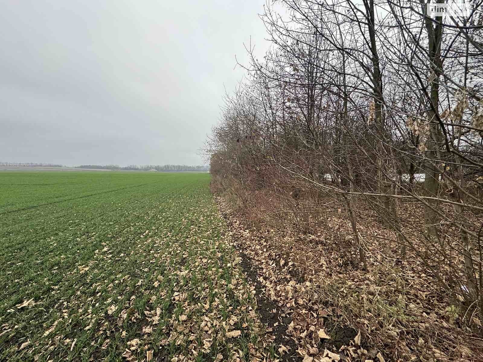 Земля под жилую застройку в Виннице, район Тяжилов, площадь 5 соток фото 1 Земля под жилую застройку в Виннице, район Тяжилов, площадь 5 соток фото 1