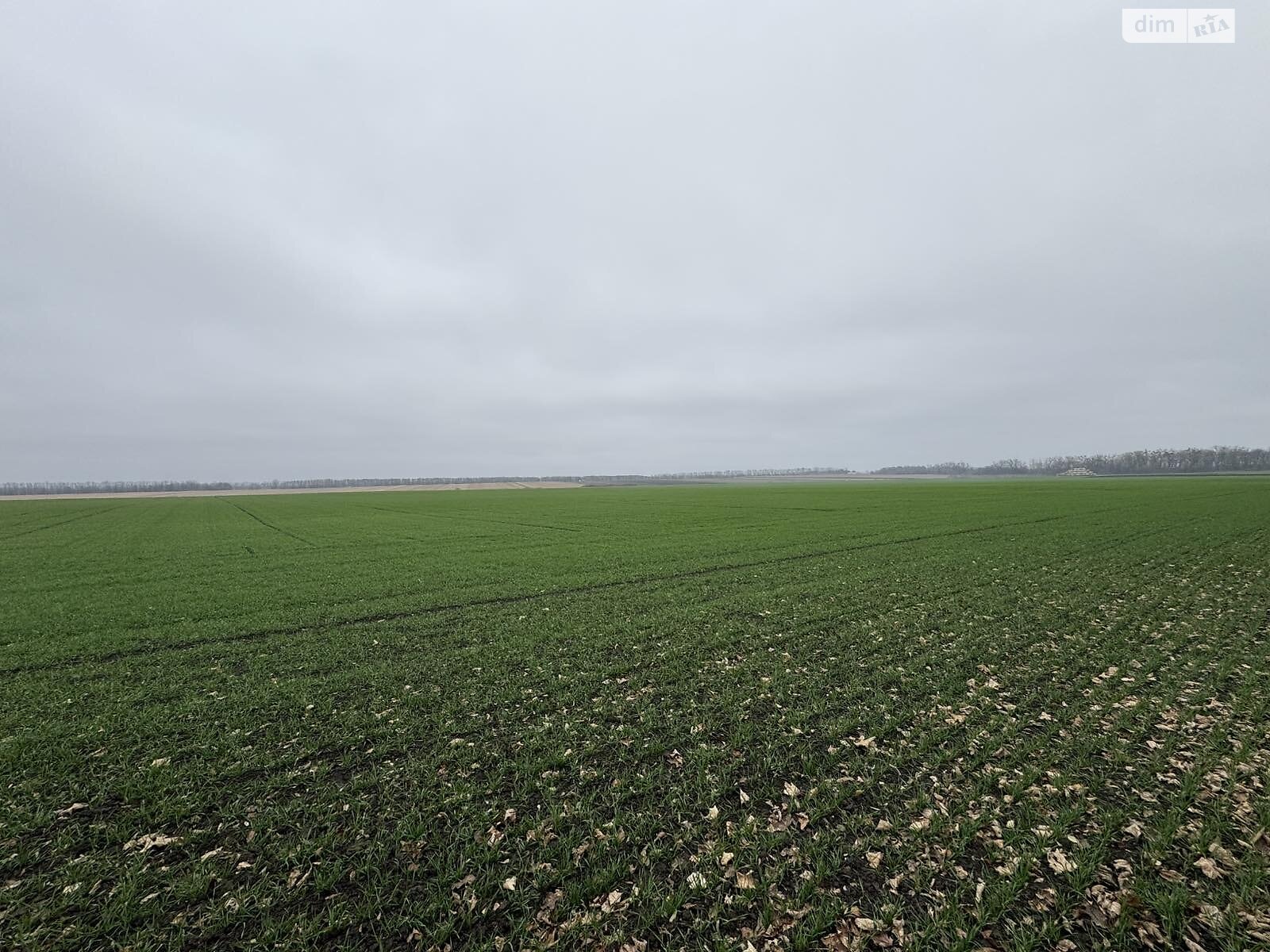 Земля под жилую застройку в Виннице, район Тяжилов, площадь 5 соток фото 1 Земля под жилую застройку в Виннице, район Тяжилов, площадь 5 соток фото 1