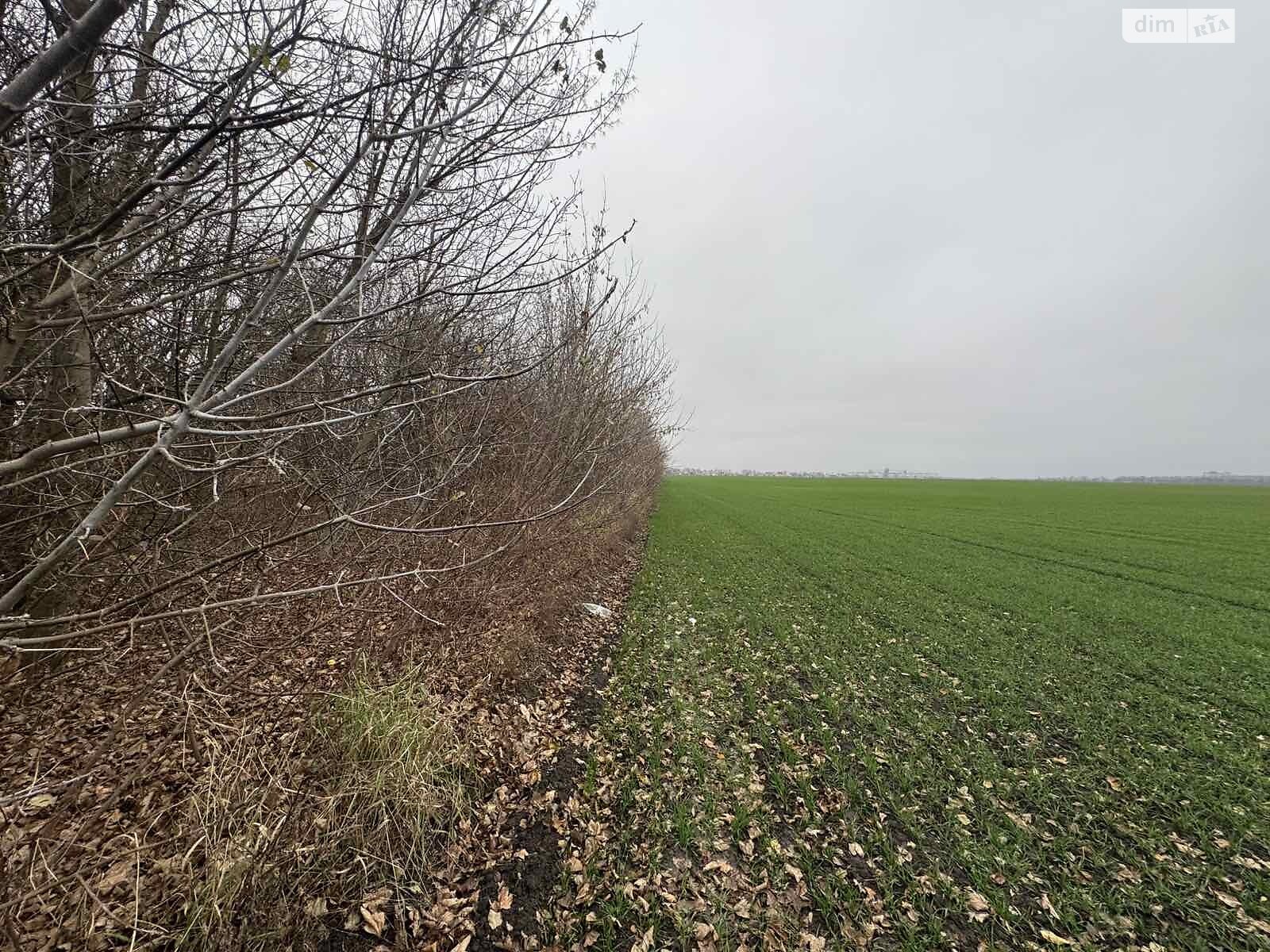 Земля под жилую застройку в Виннице, район Тяжилов, площадь 5 соток фото 1 Земля под жилую застройку в Виннице, район Тяжилов, площадь 5 соток фото 1