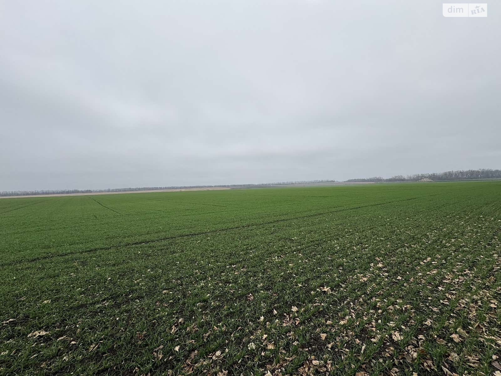 Земля под жилую застройку в Виннице, район Тяжилов, площадь 5 соток фото 1 Земля под жилую застройку в Виннице, район Тяжилов, площадь 5 соток фото 1