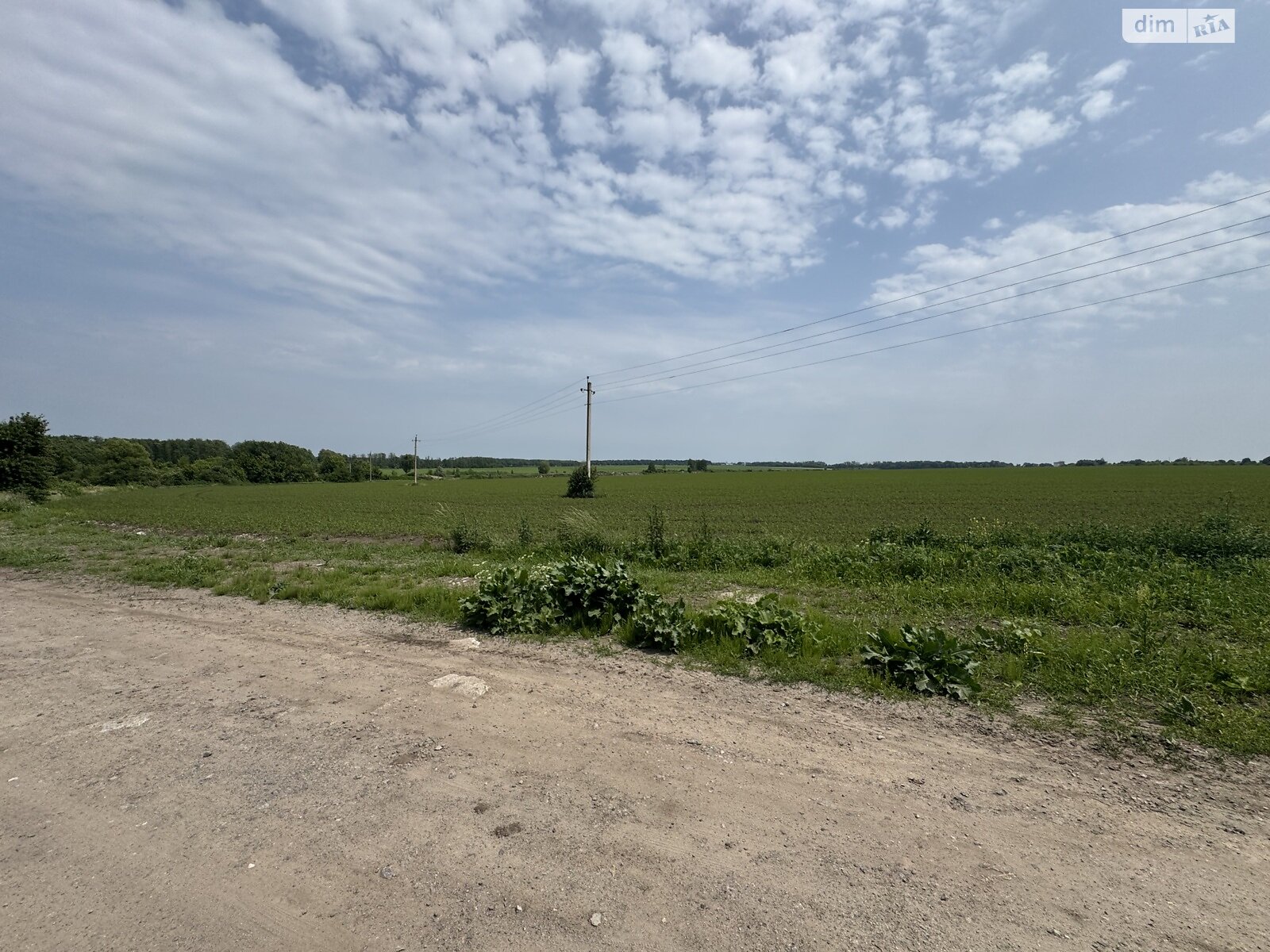 Земля під житлову забудову в Вінниці, район Тяжилів, площа 24.2 сотки фото 1 Земля під житлову забудову в Вінниці, район Тяжилів, площа 24.2 сотки фото 1