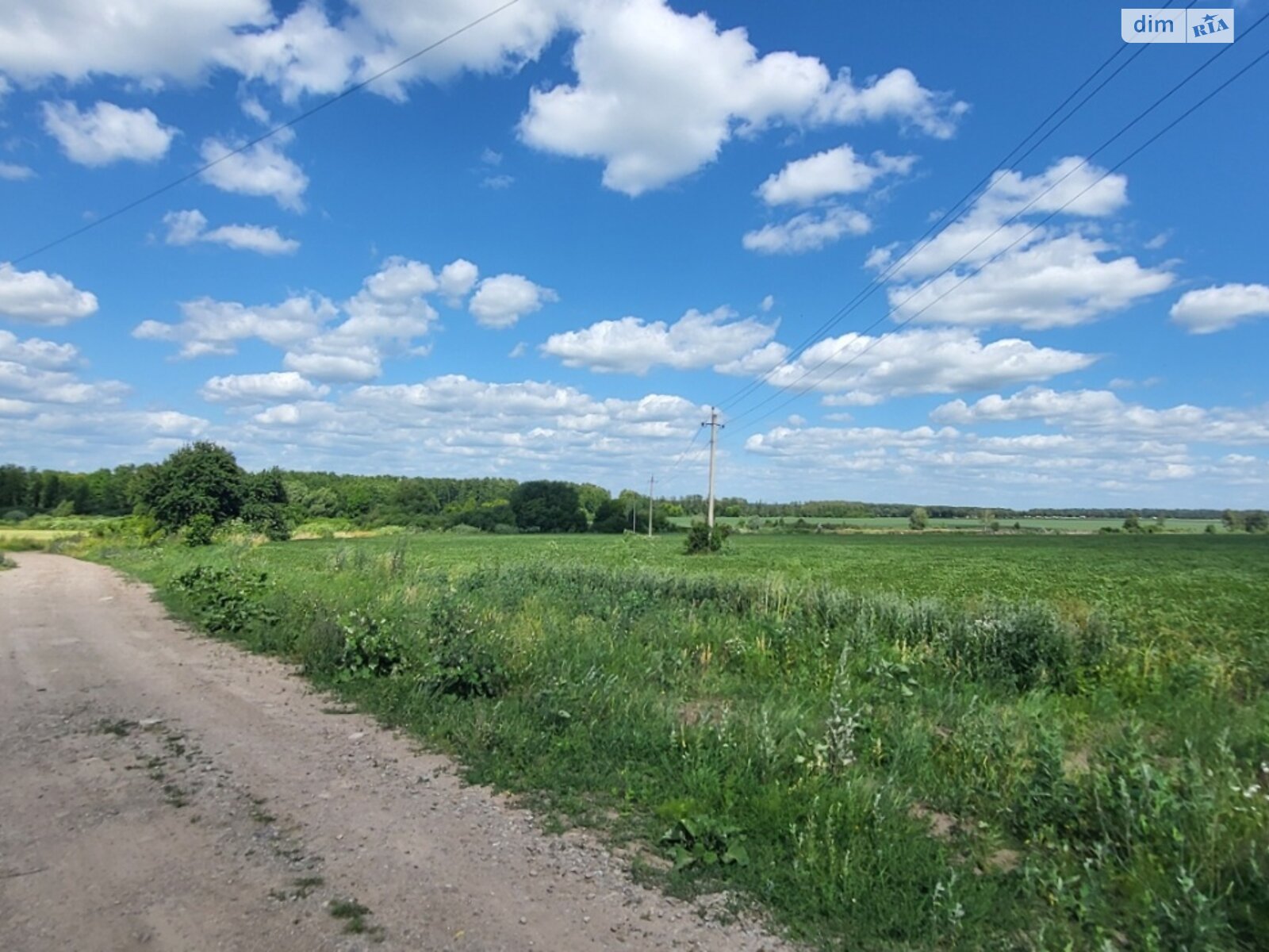 Земля під житлову забудову в Вінниці, район Тяжилів, площа 24.2 сотки фото 1 Земля під житлову забудову в Вінниці, район Тяжилів, площа 24.2 сотки фото 1