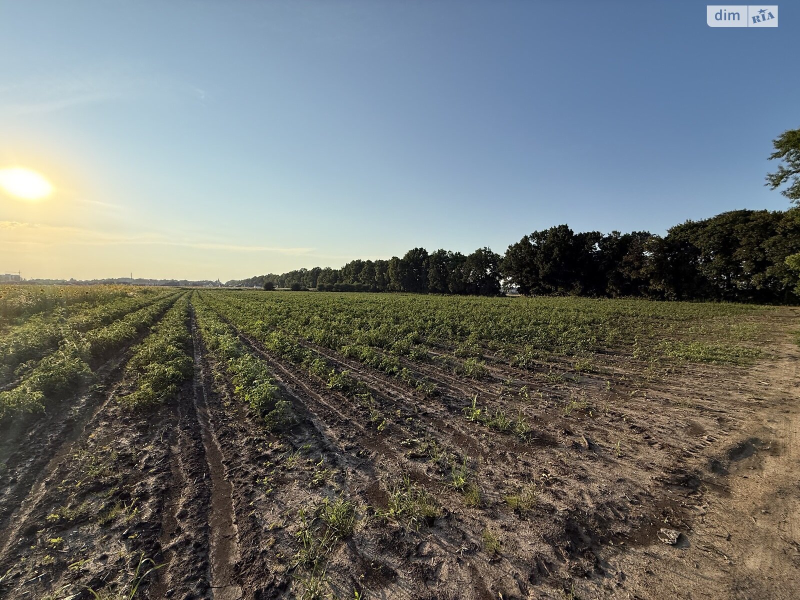 Земля под жилую застройку в Виннице, район Тяжилов, площадь 6 соток фото 1