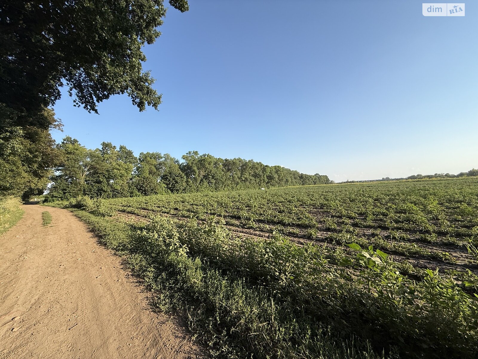 Земля под жилую застройку в Виннице, район Тяжилов, площадь 6 соток фото 1