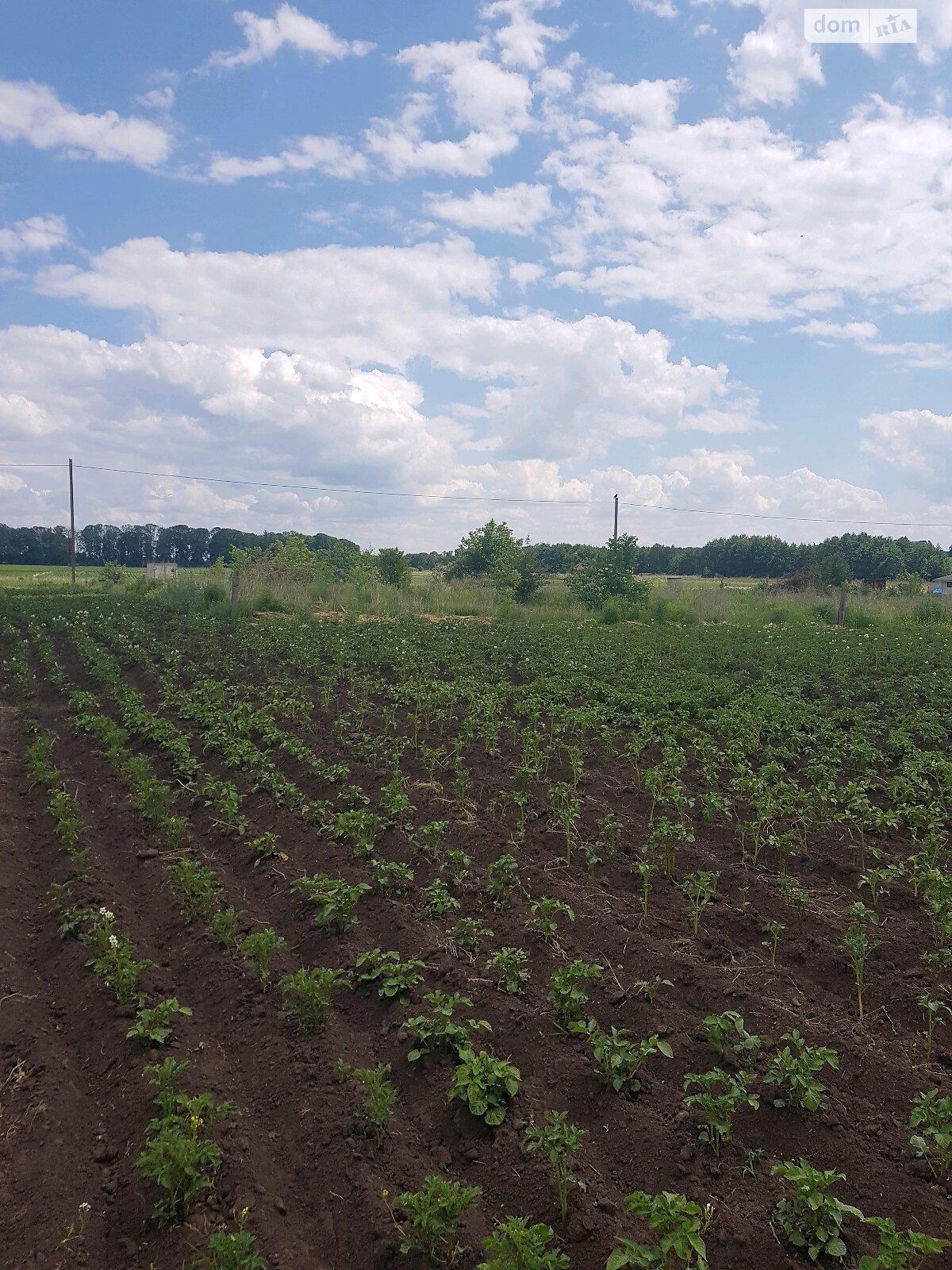 Земля під житлову забудову в Вінниці, район Тяжилів, площа 10 соток фото 1