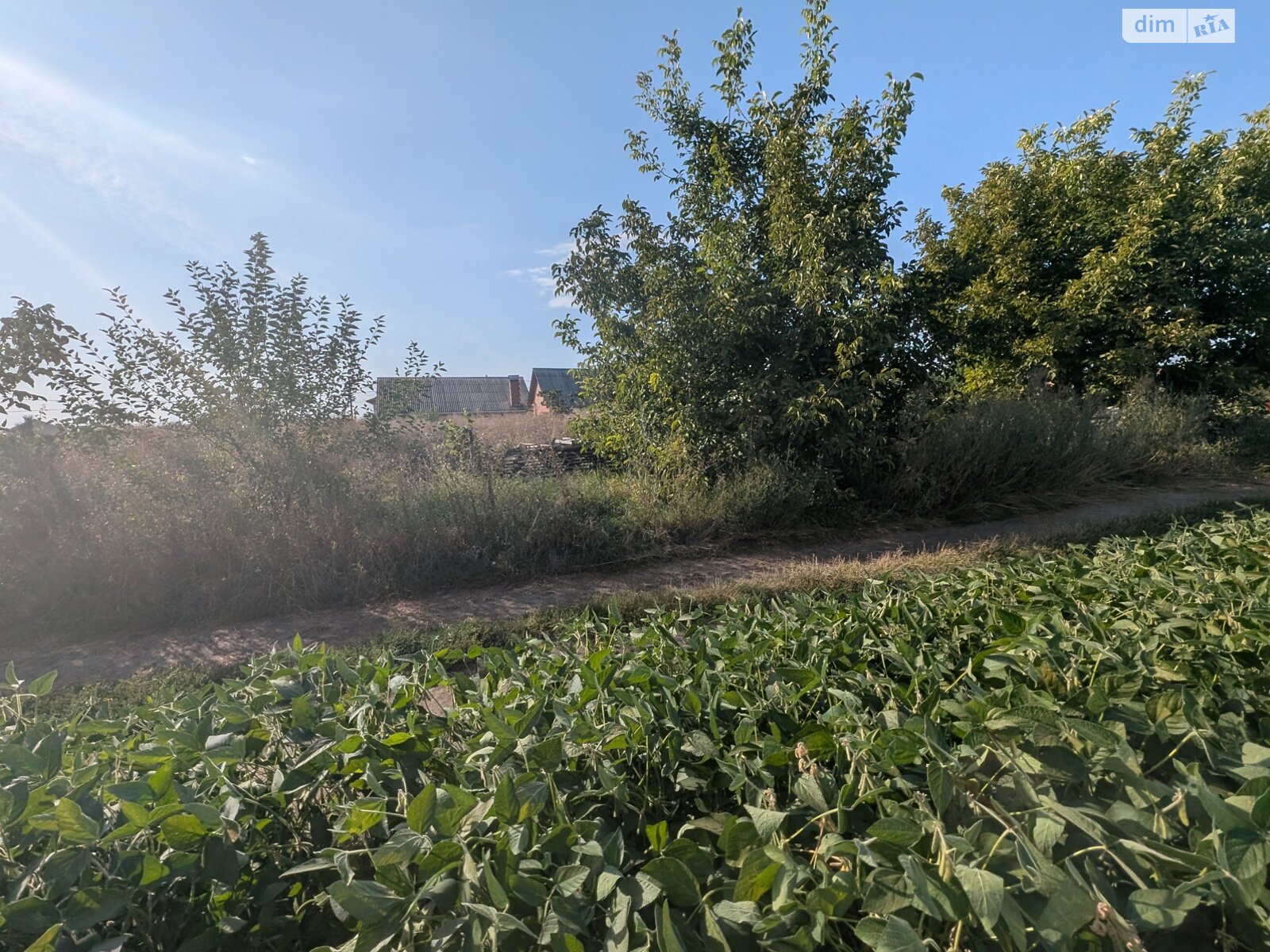 Земля под жилую застройку в Виннице, район Тяжилов, площадь 8 соток фото 1