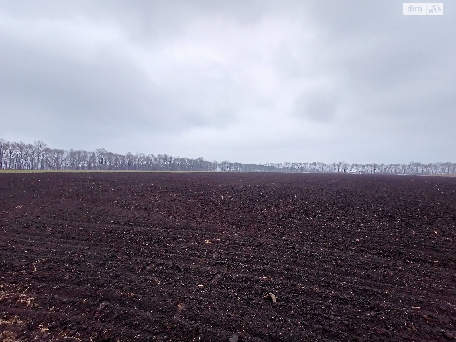 Земля під житлову забудову в Вінниці, район Тяжилів, площа 60 соток фото 1