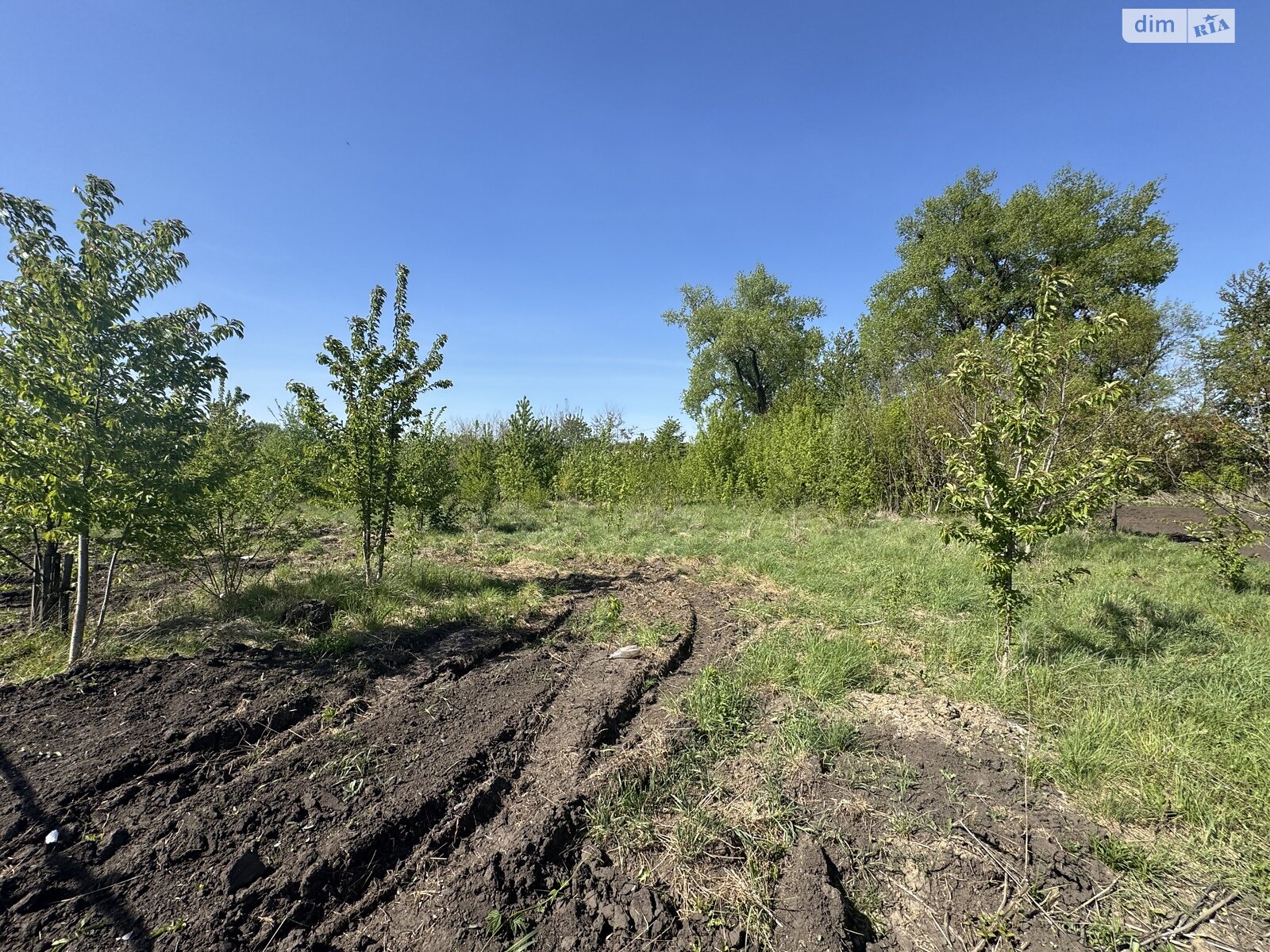 Земля під житлову забудову в Вінниці, район Тяжилів, площа 10 соток фото 1 Земля під житлову забудову в Вінниці, район Тяжилів, площа 10 соток фото 1