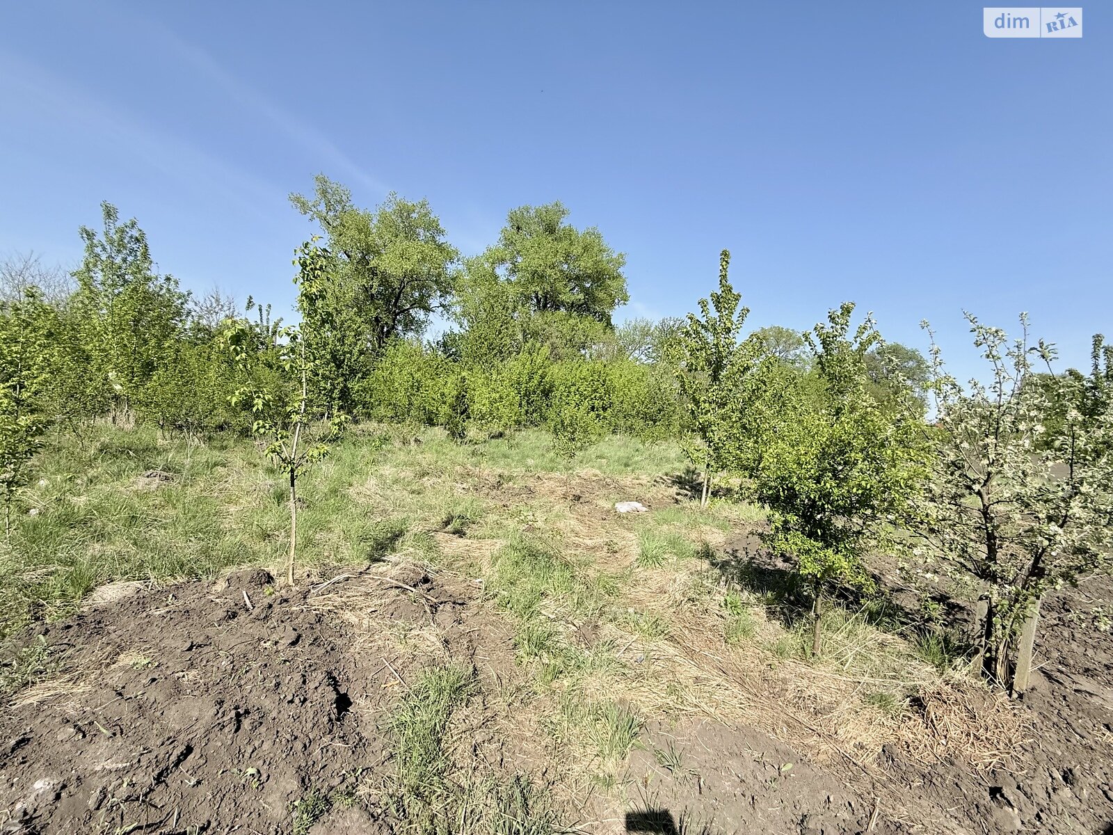 Земля під житлову забудову в Вінниці, район Тяжилів, площа 10 соток фото 1 Земля під житлову забудову в Вінниці, район Тяжилів, площа 10 соток фото 1