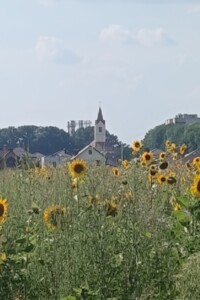 Земля под жилую застройку в Виннице, район Тяжилов, площадь 6 соток фото 2