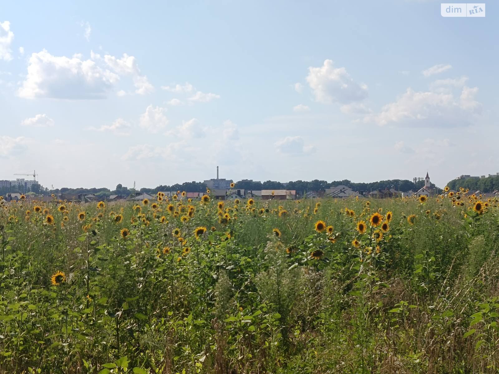 Земля под жилую застройку в Виннице, район Тяжилов, площадь 6 соток фото 1