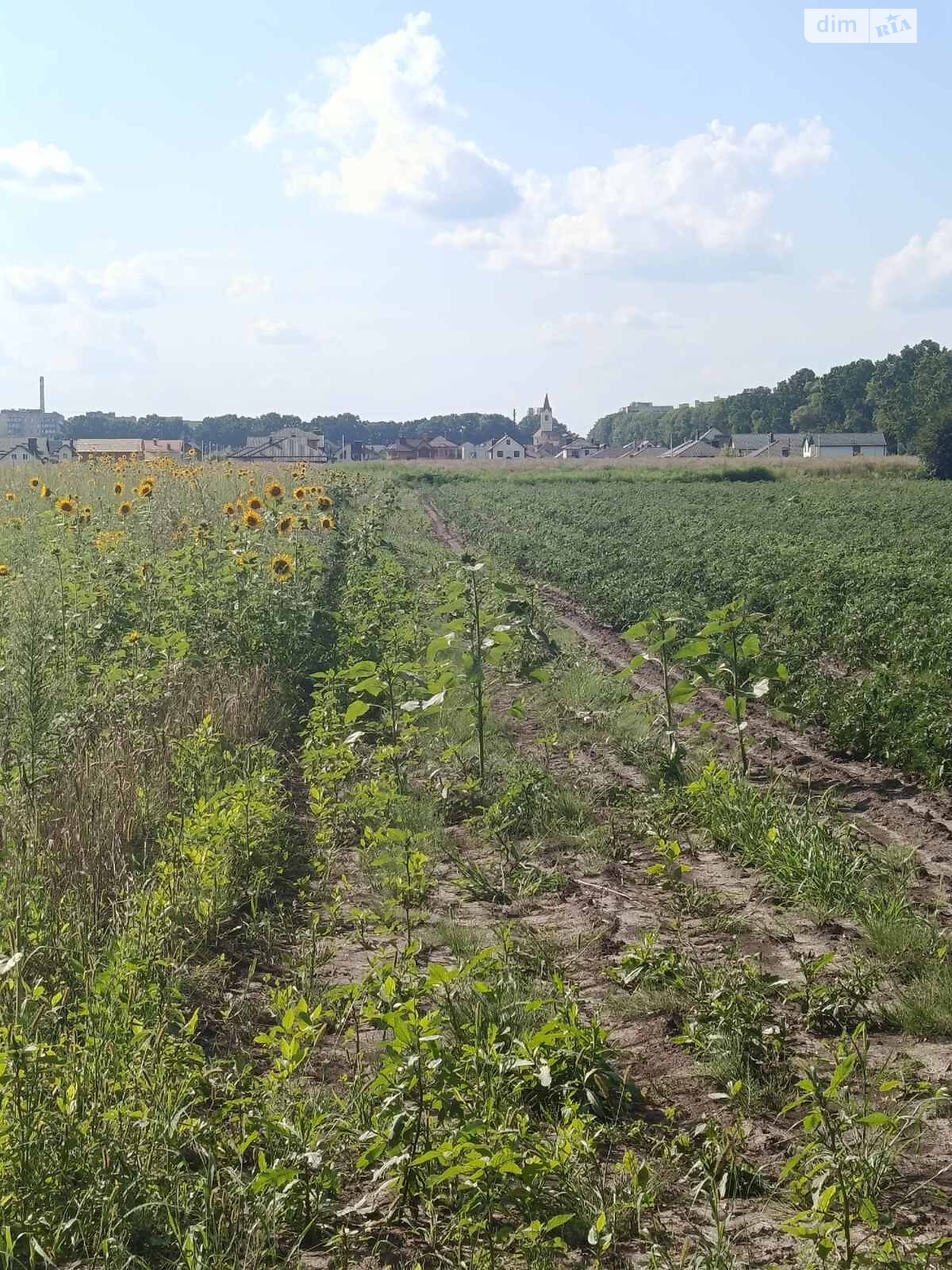 Земля под жилую застройку в Виннице, район Тяжилов, площадь 6 соток фото 1