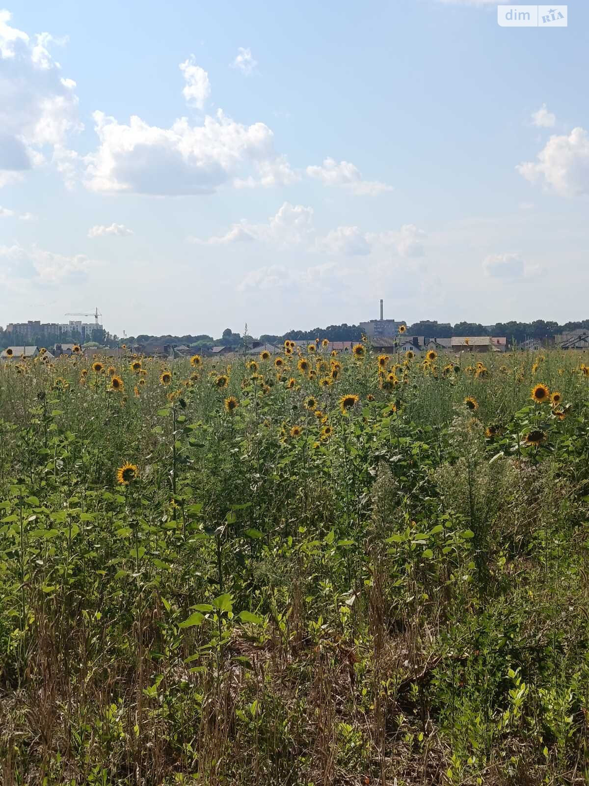 Земля под жилую застройку в Виннице, район Тяжилов, площадь 6 соток фото 1