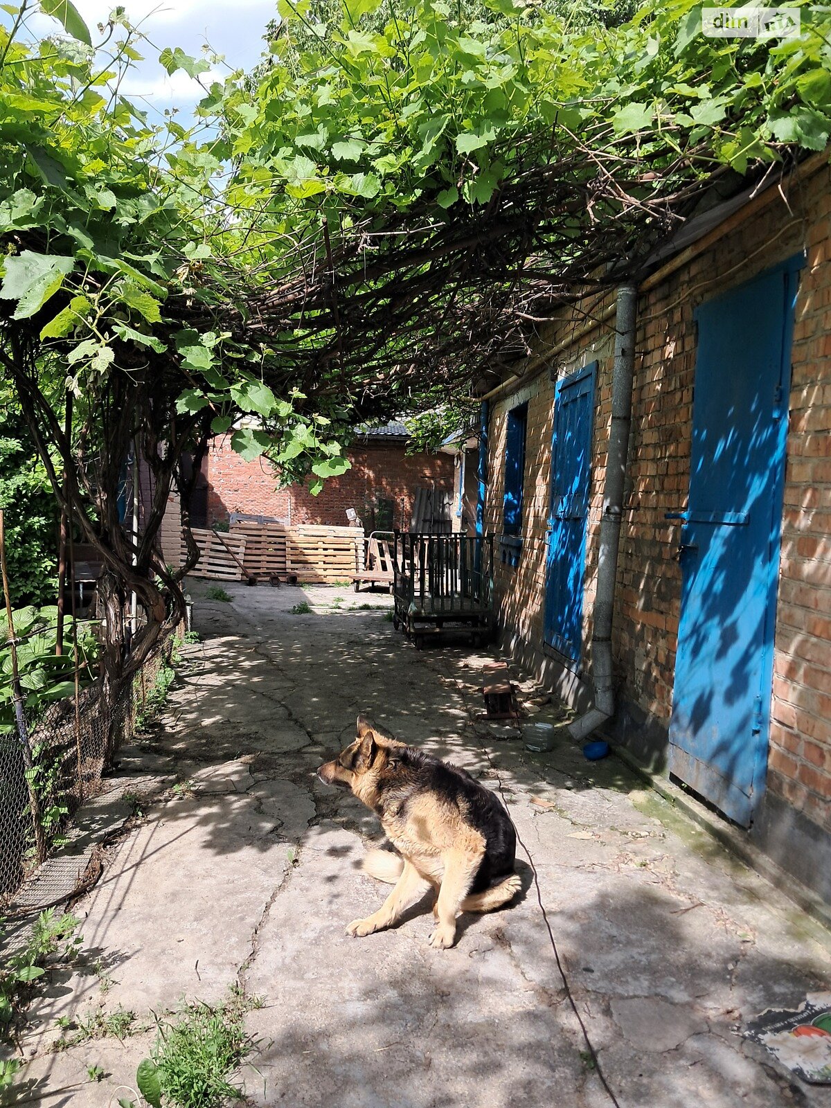 Земля під житлову забудову в Вінниці, район Урожай, площа 4 сотки фото 1 Земля під житлову забудову в Вінниці, район Урожай, площа 4 сотки фото 1