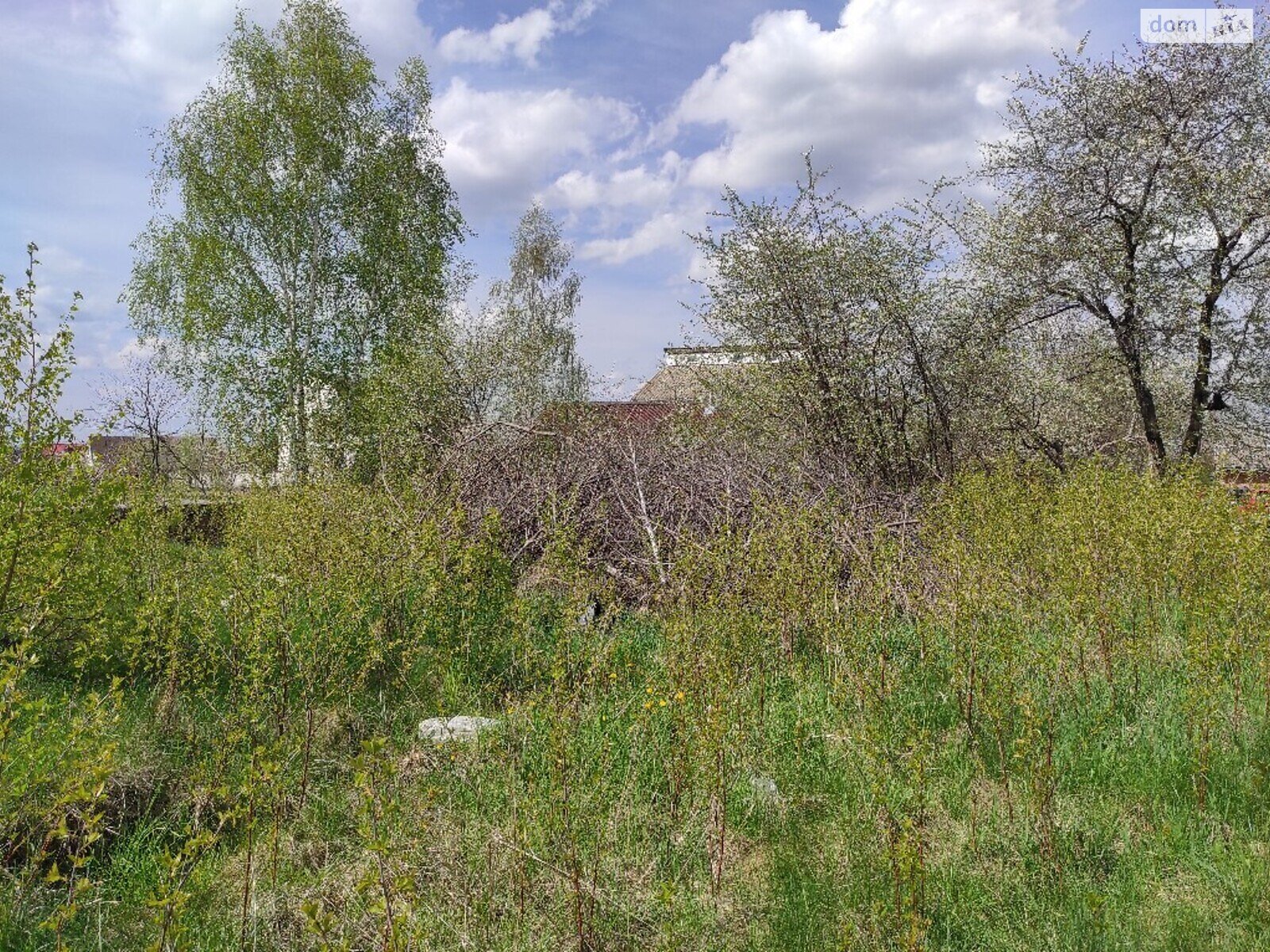 Земельна ділянка під житлову забудову в Вінницьких Хуторах, площа 10 соток фото 1