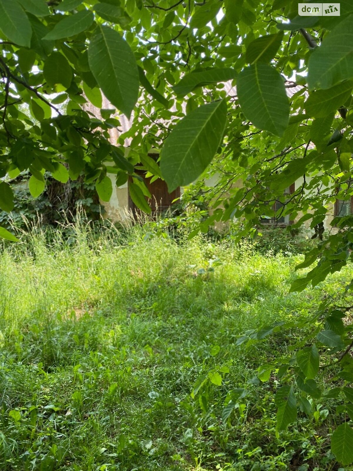 Земельна ділянка під житлову забудову в Вінницьких Хуторах, площа 21 сотка фото 1