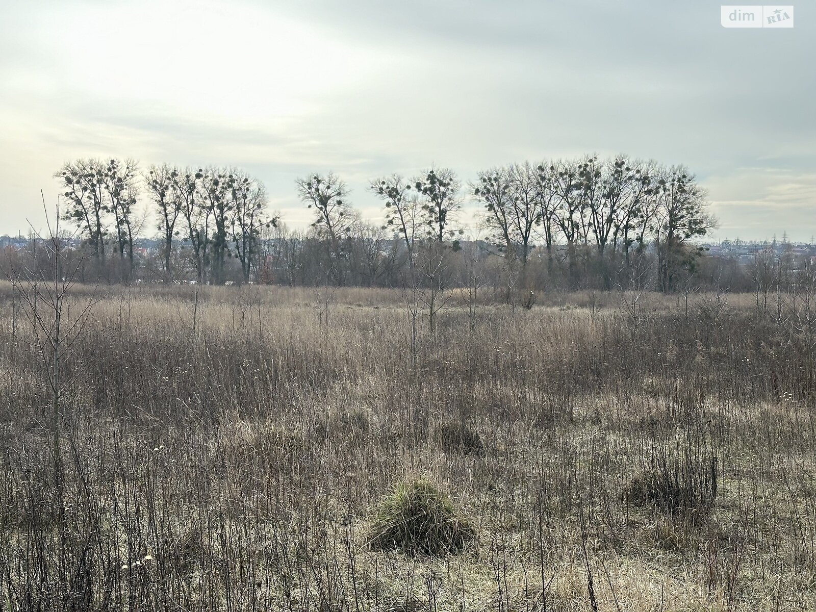 Земля під житлову забудову в Вінниці, район Вишенька, площа 141 сотка фото 1