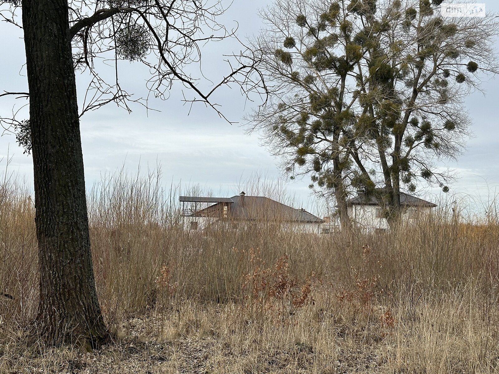 Земля під житлову забудову в Вінниці, район Вишенька, площа 141 сотка фото 1