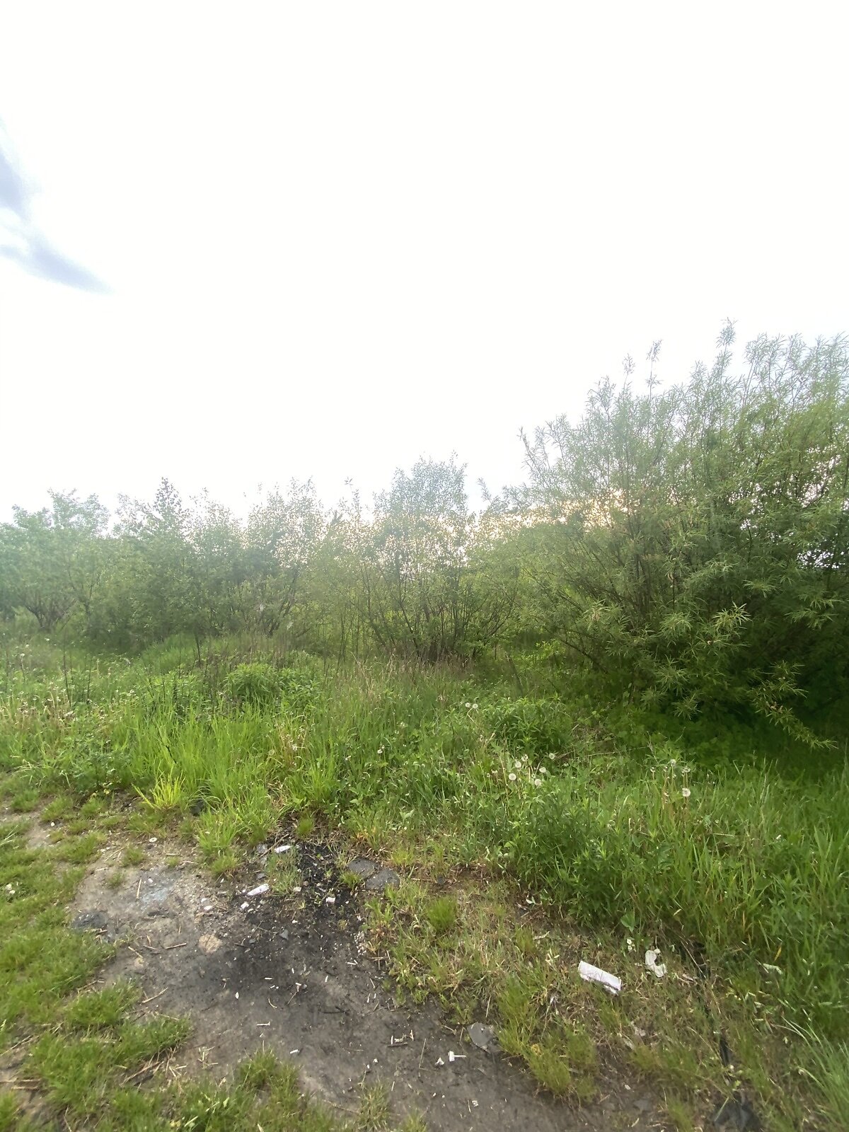 Земля под жилую застройку в Виннице, район Вишенка, площадь 6 соток фото 1