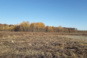 Земельна ділянка під житлову забудову в Якушинцях, площа 20 соток фото 2