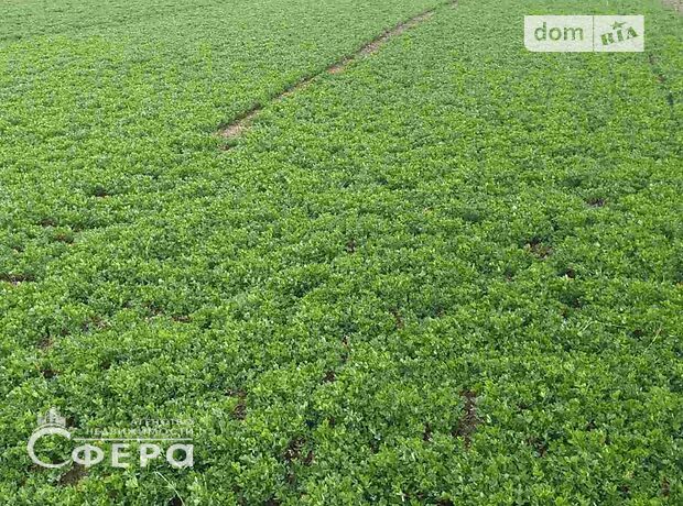 Земля під житлову забудову в Вінниці, район Старе місто, площа 10 соток фото 1 Земля під житлову забудову в Вінниці, район Старе місто, площа 10 соток фото 1