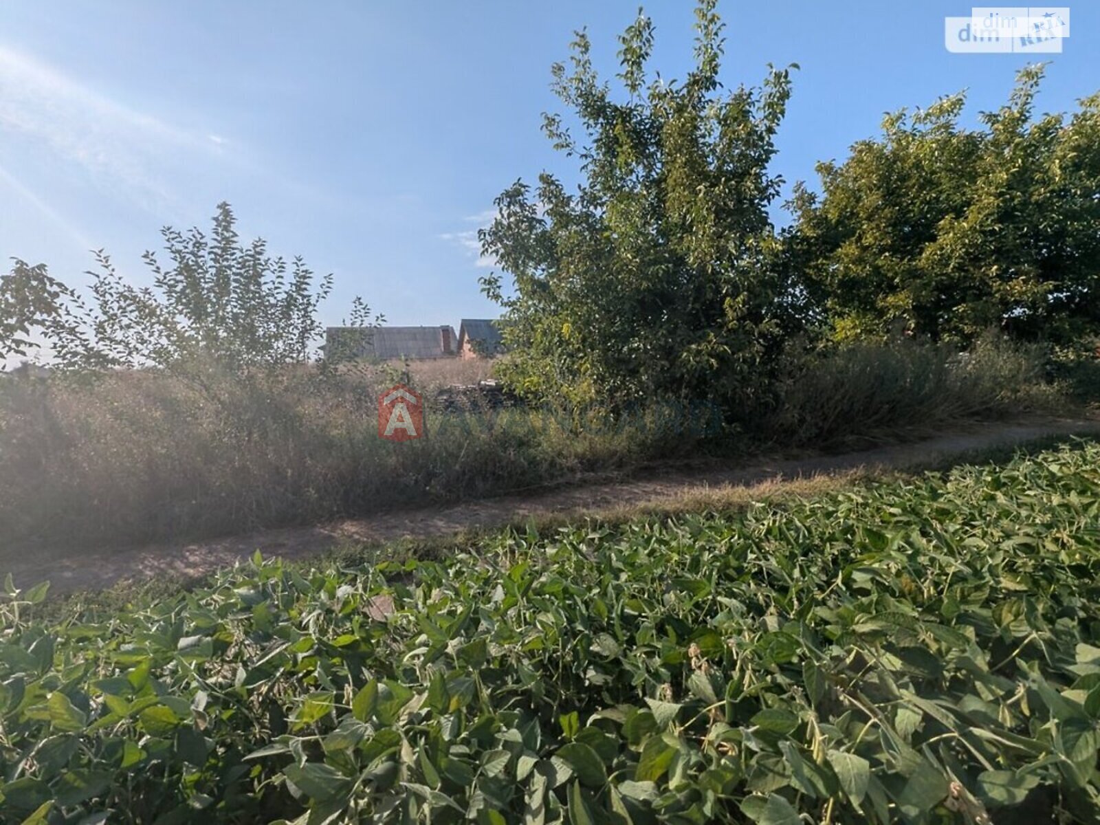 Земля под жилую застройку в Виннице, район Замостянский, площадь 8 соток фото 1