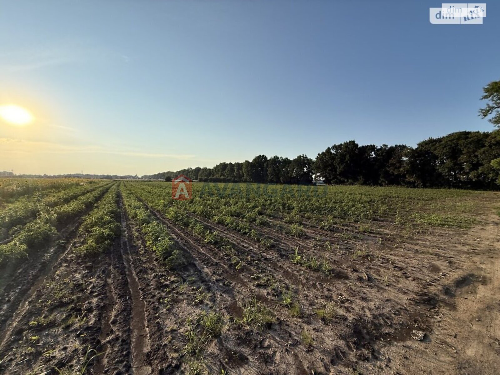 Земля під житлову забудову в Вінниці, район Замостянський, площа 6 соток фото 1