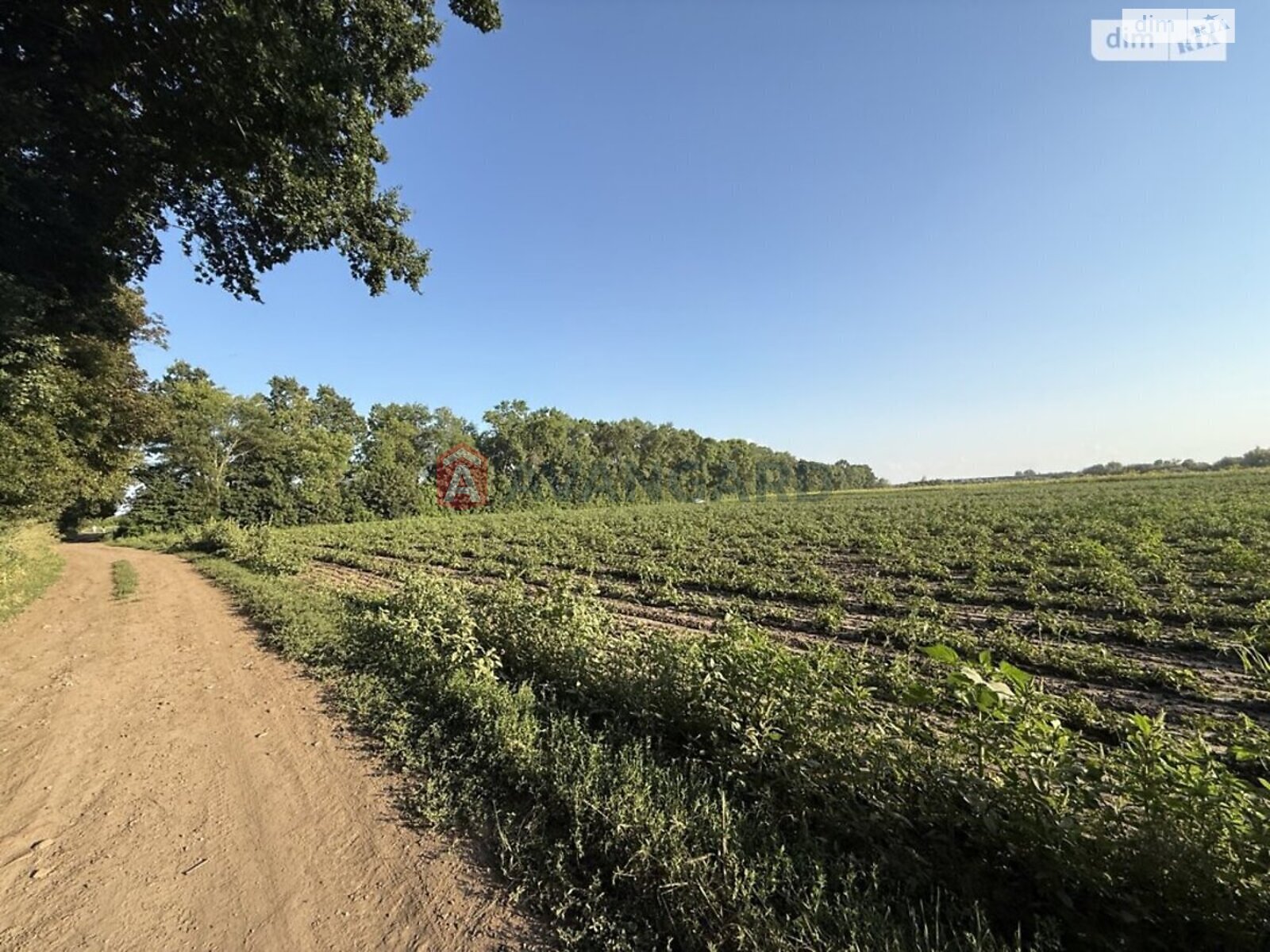 Земля під житлову забудову в Вінниці, район Замостянський, площа 6 соток фото 1