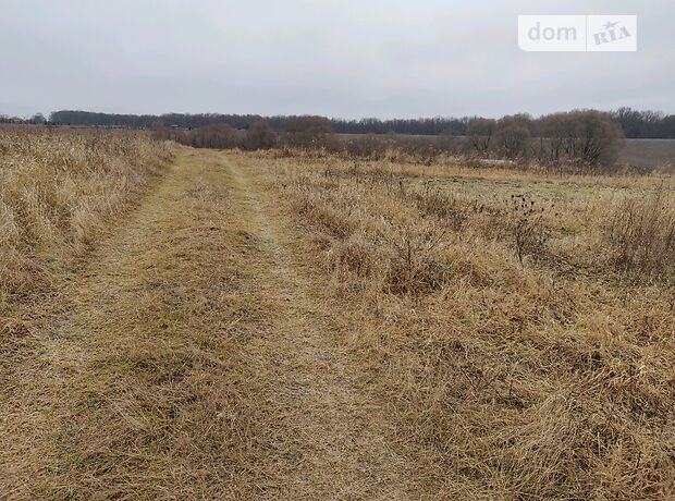 Земельна ділянка під житлову забудову в Зарванцях, площа 10 соток фото 1 Земельна ділянка під житлову забудову в Зарванцях, площа 10 соток фото 1