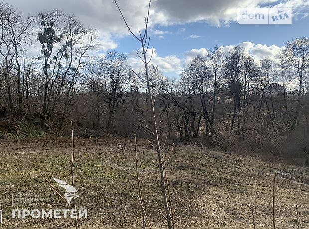 Земельный участок под жилую застройку в Зарванцах, площадь 20 соток фото 1 Земельный участок под жилую застройку в Зарванцах, площадь 20 соток фото 1