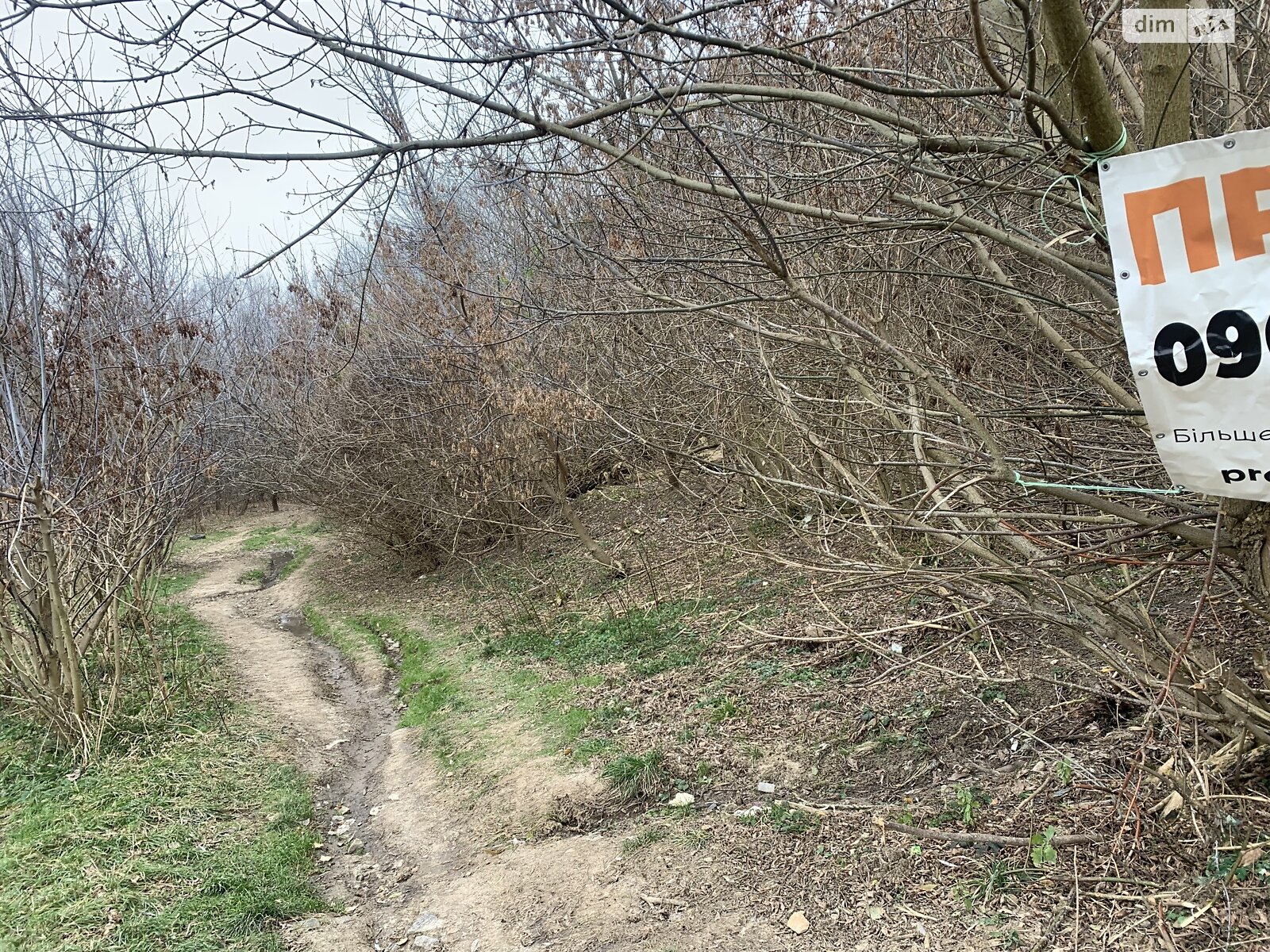 Земельна ділянка під житлову забудову в Вінниці, площа 30 соток фото 1