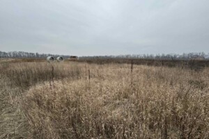 Земельный участок под жилую застройку в Бохониках, площадь 8 соток фото 2