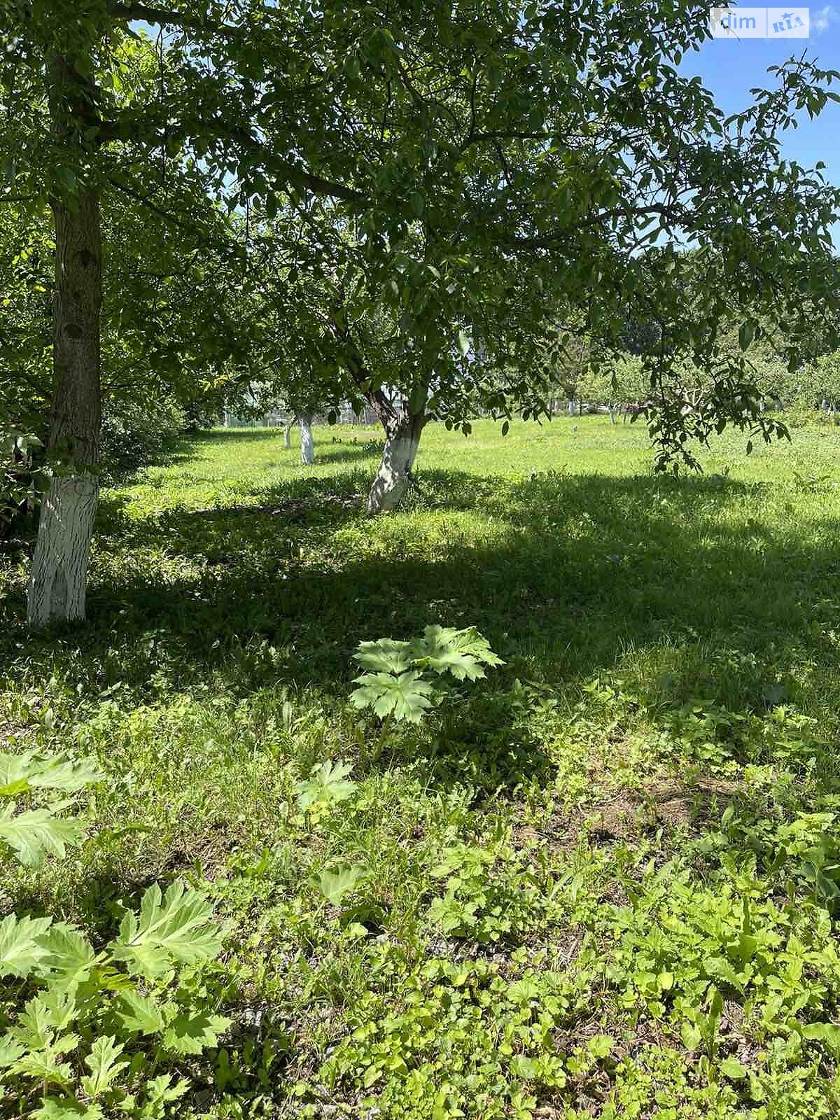 Земельна ділянка під житлову забудову в Луці-Мелешківській, площа 15 соток фото 1 Земельна ділянка під житлову забудову в Луці-Мелешківській, площа 15 соток фото 1