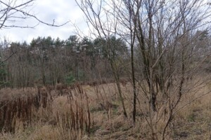 Земельный участок под жилую застройку в Виннице, площадь 4 сотки фото 2