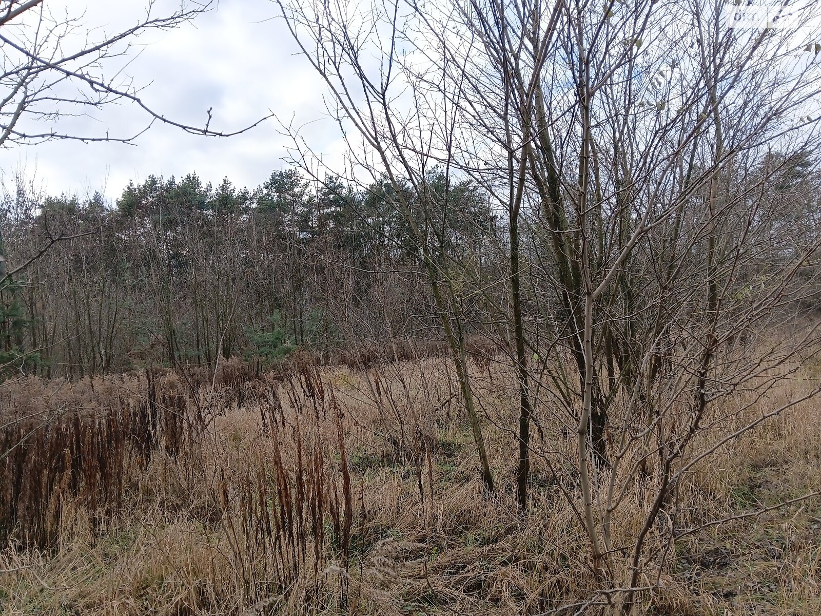 Земельный участок под жилую застройку в Виннице, площадь 4 сотки фото 1