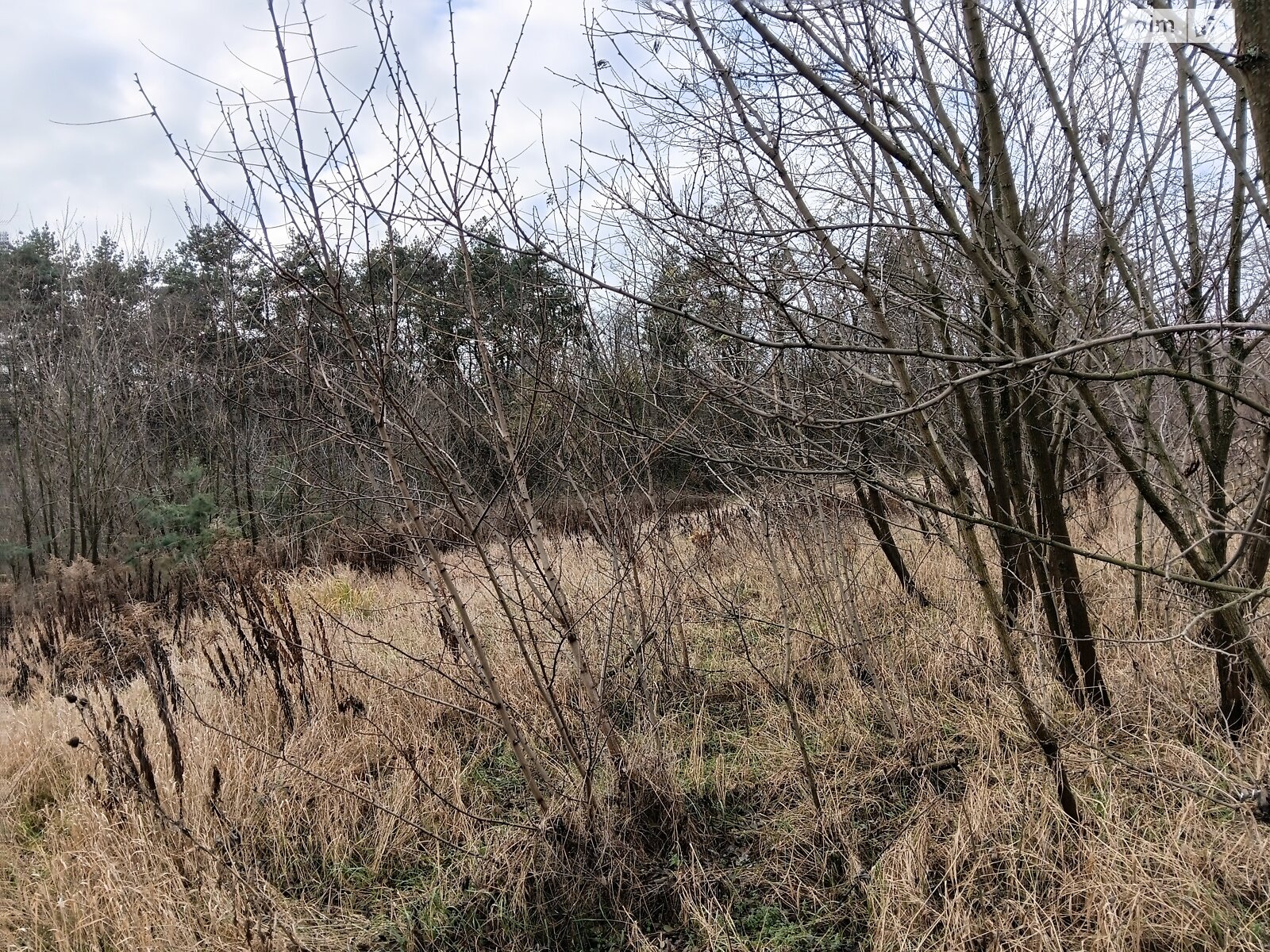 Земельный участок под жилую застройку в Виннице, площадь 4 сотки фото 1