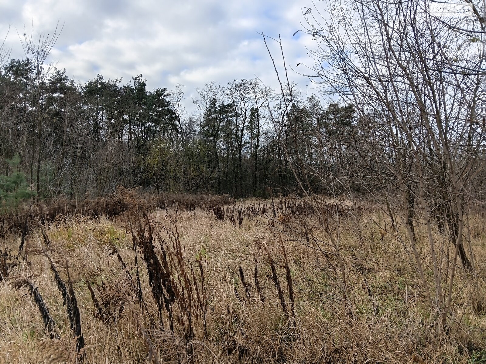 Земельный участок под жилую застройку в Виннице, площадь 4 сотки фото 1