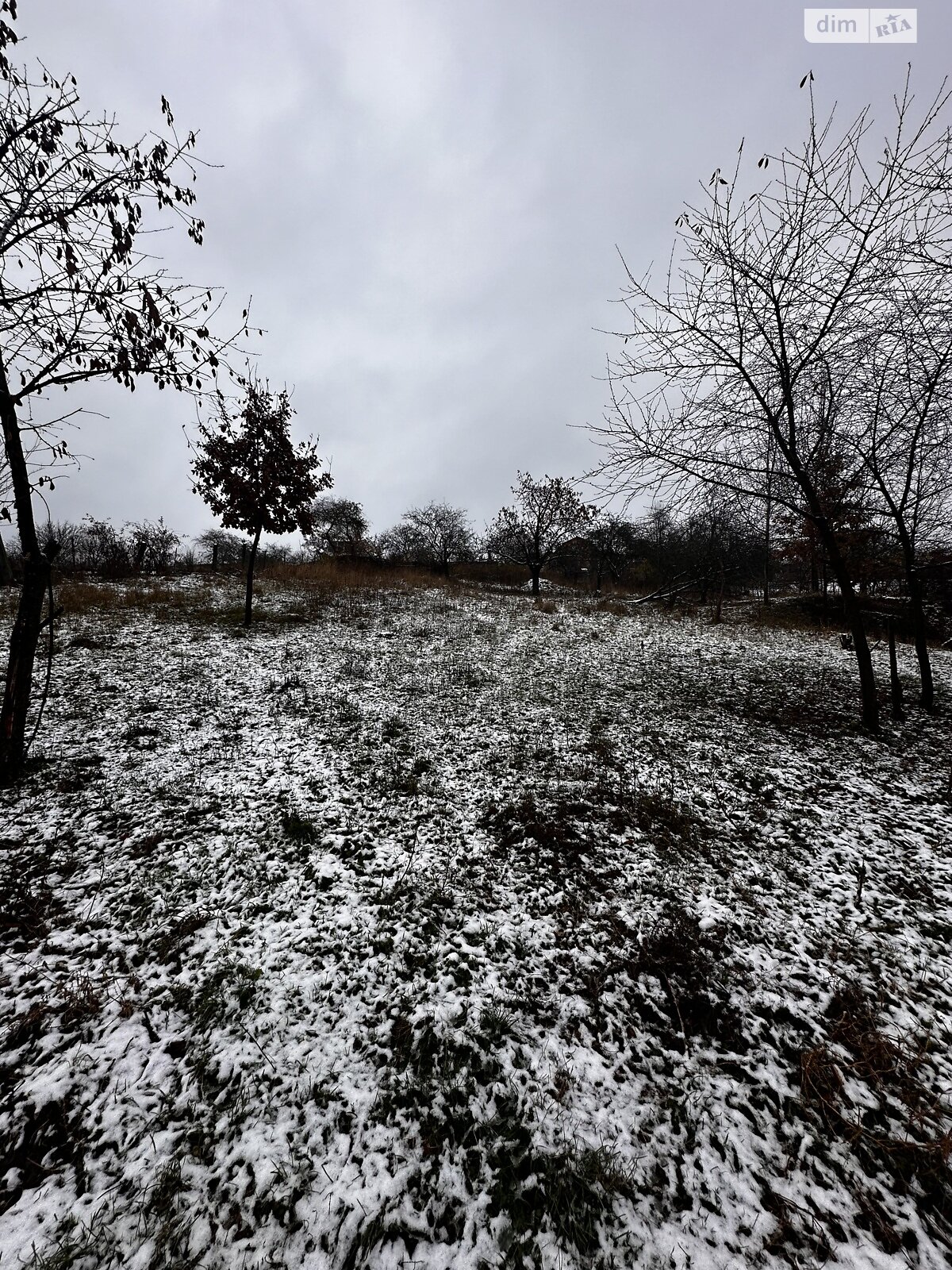 Земля під житлову забудову в Вінницьких Хуторах, площа 20 соток фото 1