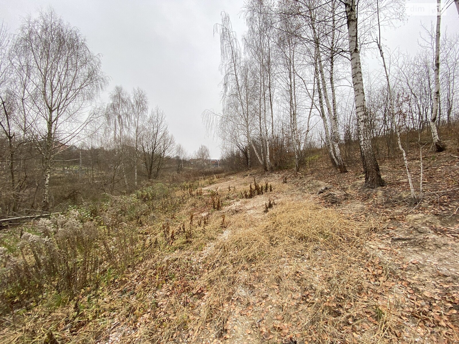 Земельна ділянка під житлову забудову в Вінницьких Хуторах, площа 12 соток фото 1 Земельна ділянка під житлову забудову в Вінницьких Хуторах, площа 12 соток фото 1