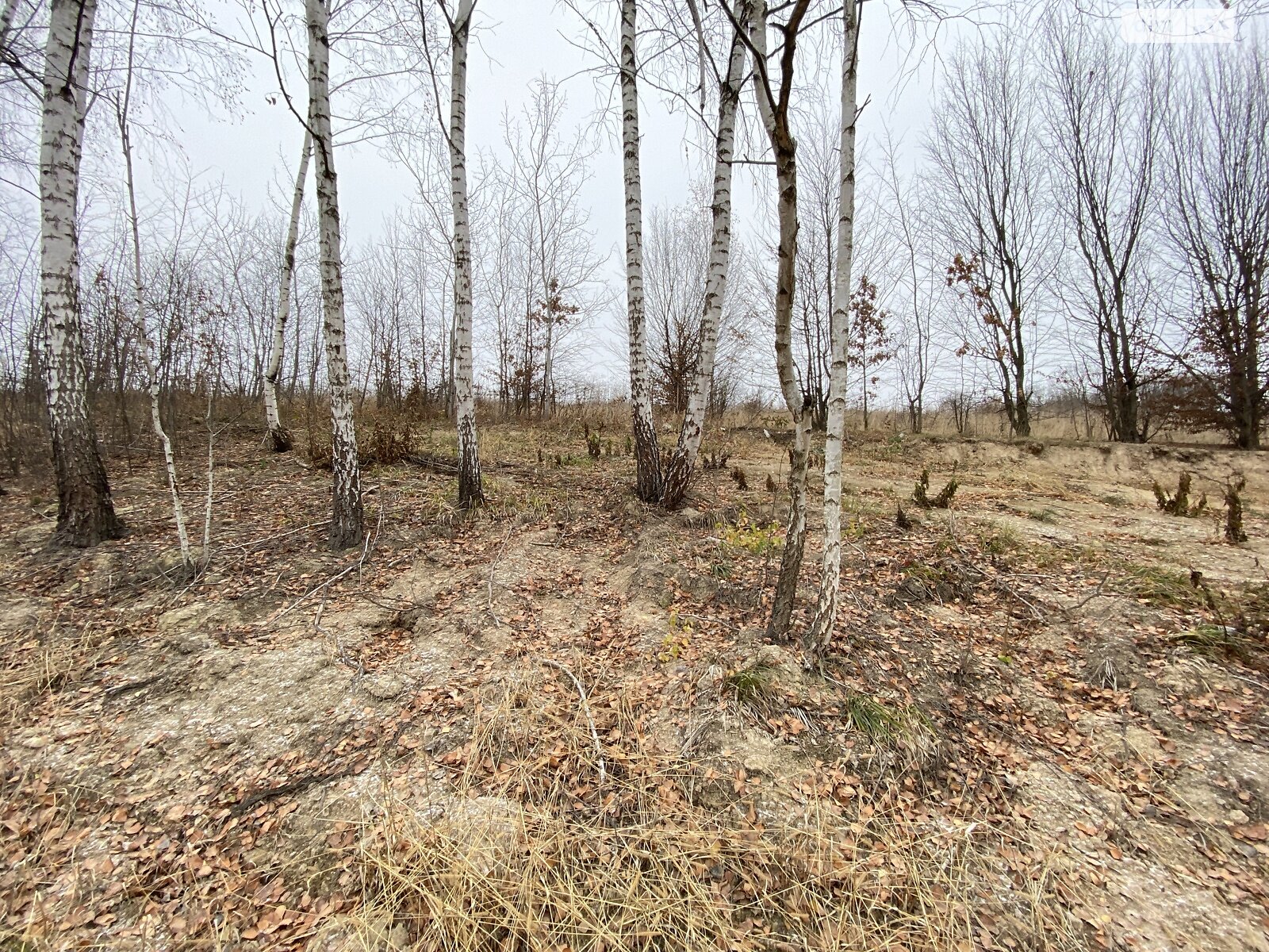 Земельна ділянка під житлову забудову в Вінницьких Хуторах, площа 12 соток фото 1 Земельна ділянка під житлову забудову в Вінницьких Хуторах, площа 12 соток фото 1