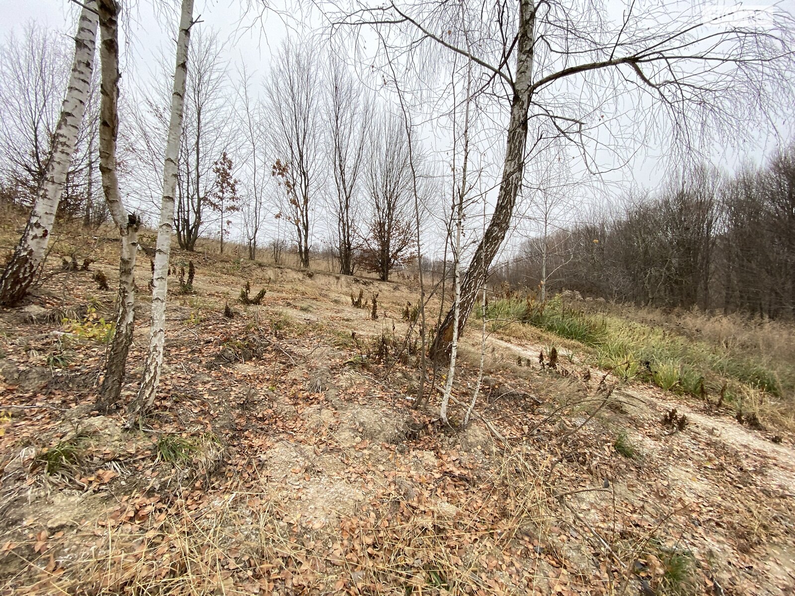 Земельна ділянка під житлову забудову в Вінницьких Хуторах, площа 12 соток фото 1 Земельна ділянка під житлову забудову в Вінницьких Хуторах, площа 12 соток фото 1