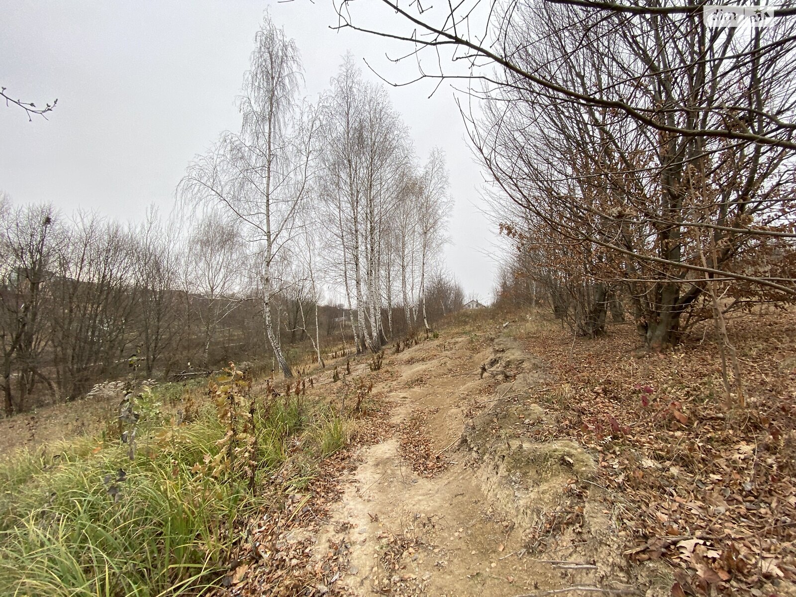 Земельна ділянка під житлову забудову в Вінницьких Хуторах, площа 12 соток фото 1 Земельна ділянка під житлову забудову в Вінницьких Хуторах, площа 12 соток фото 1