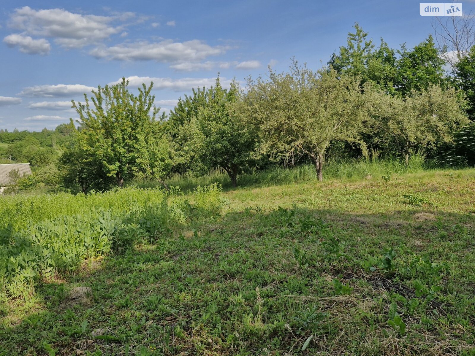 Земельна ділянка під житлову забудову в Вінницьких Хуторах, площа 40 соток фото 1 Земельна ділянка під житлову забудову в Вінницьких Хуторах, площа 40 соток фото 1