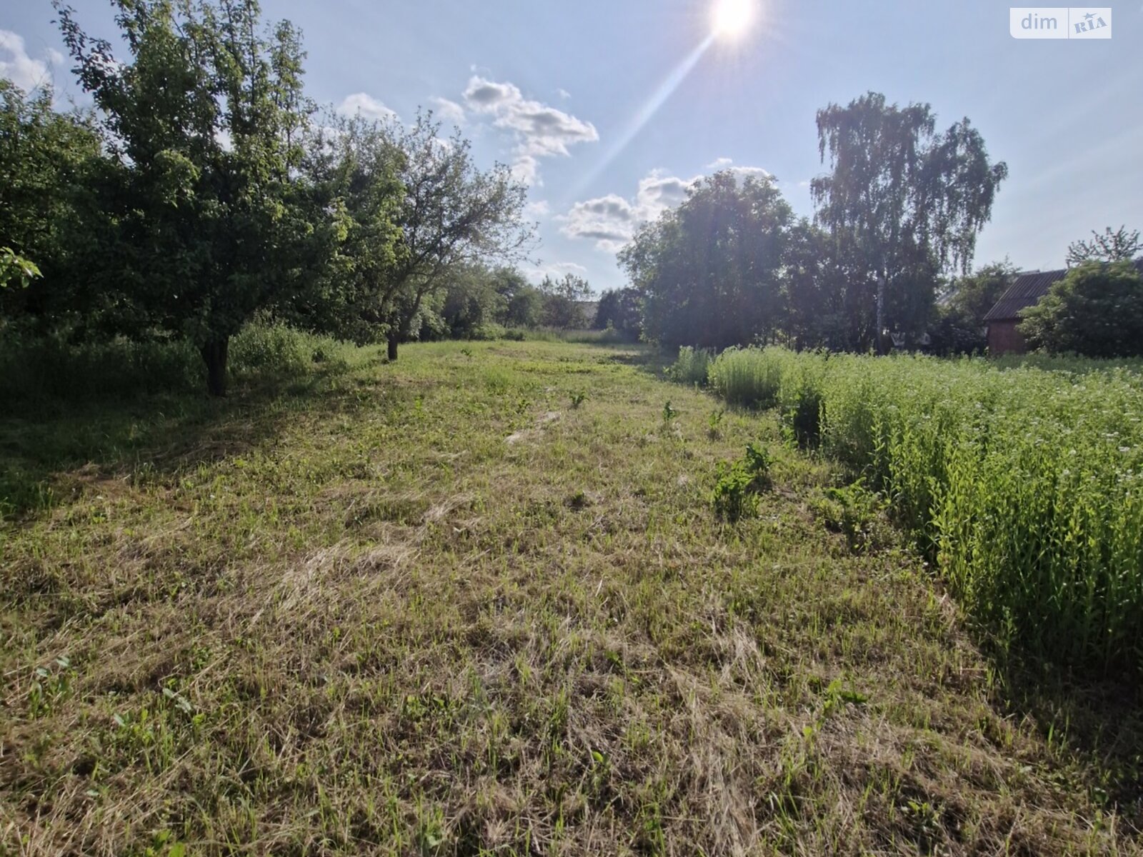 Земельна ділянка під житлову забудову в Вінницьких Хуторах, площа 40 соток фото 1 Земельна ділянка під житлову забудову в Вінницьких Хуторах, площа 40 соток фото 1